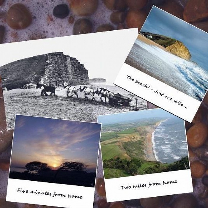 © C Goodland / Beach Thorncombe