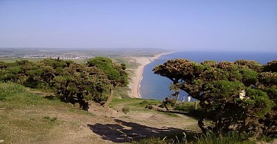 © C Goodland / Beach Thorncombe