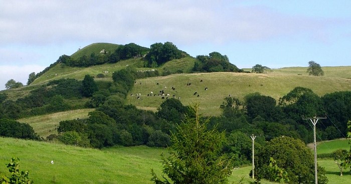 Eggardon hillfort. © C Goodland / Beach Thorncombe